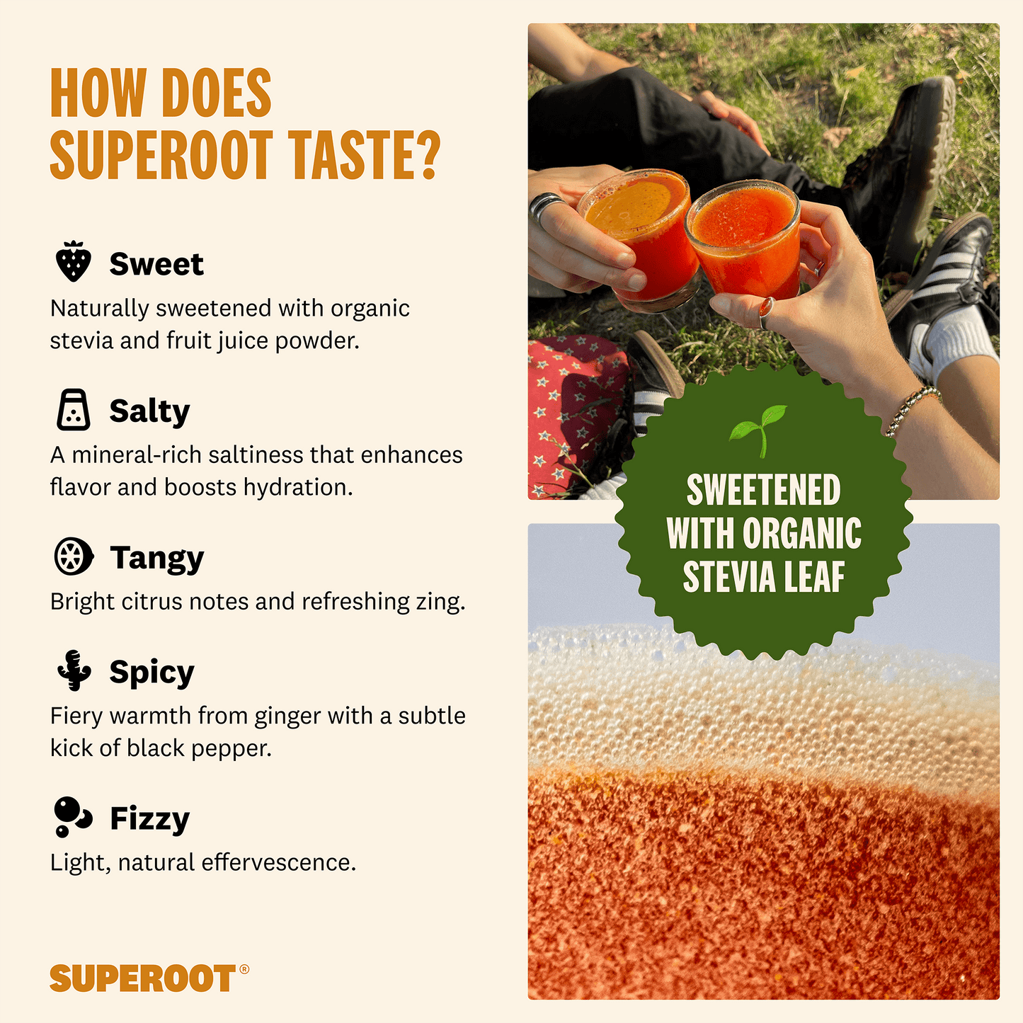 Superoot - Ginger Mango Yuzu - 12 pack