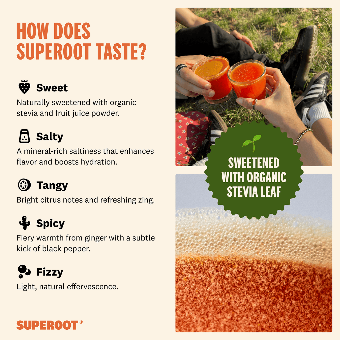 Superoot - Ginger Orange Lemon - 12 count