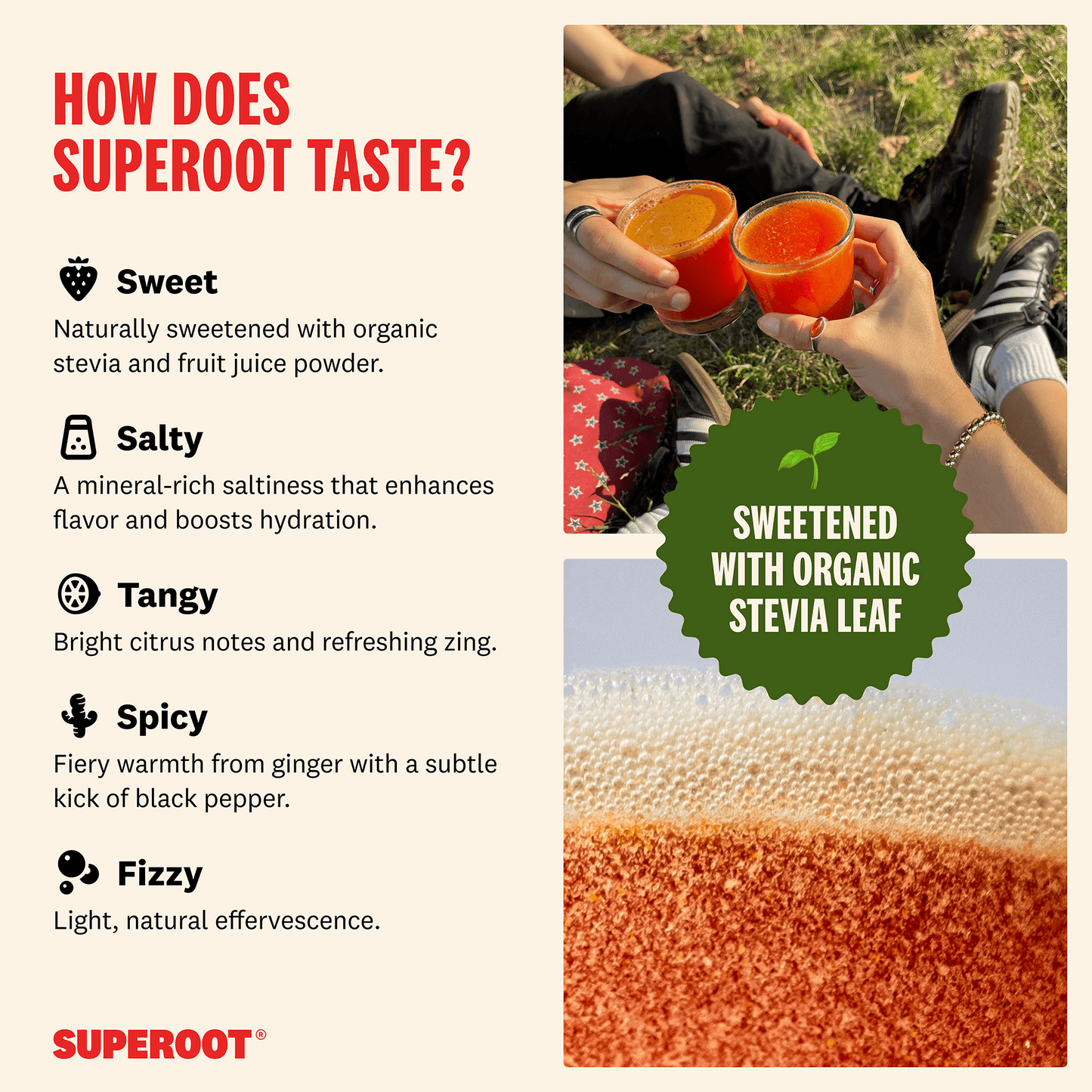 Superoot - Ginger Strawberry Lime - 12 count