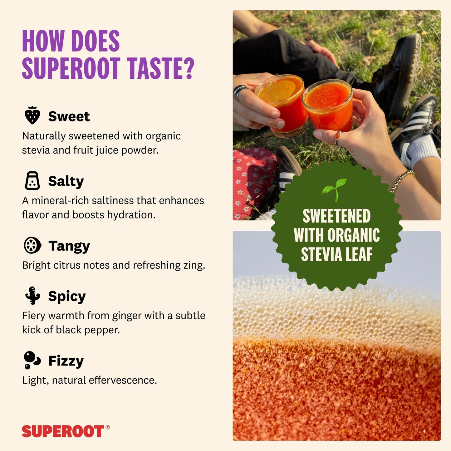 Superoot - Ginger Grape - 12 pack